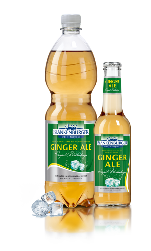 Blankenburger Wiesenquell Ginger Ale 20x0,25l Glas
