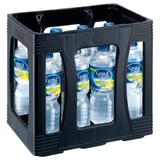 Gaensefurther Schloss Quelle Limette 11x0,5l PET