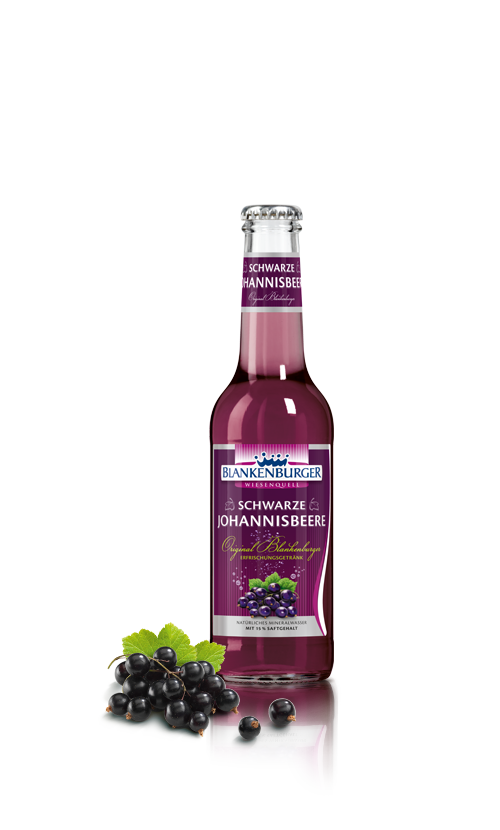 Blankenburger Wiesenquell Schwarze Johannisbeere 20x0,25l Glas