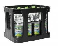 Blankenburger Wiesenquell medium 12x1l PET